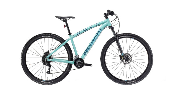 Bianchi Alivio Duel 29S